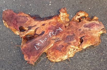 Redwood burl slab | live edge | DIY | river table | burl table | r23-0427