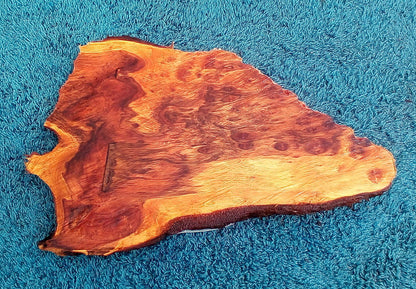 redwood burl | live edge | DIY wood | craft woods | r23-0489