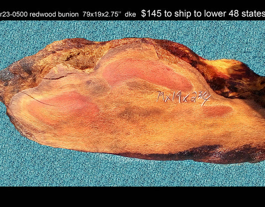 Redwood burl Slab | Live Edge | lace burl type grain | R23-0500