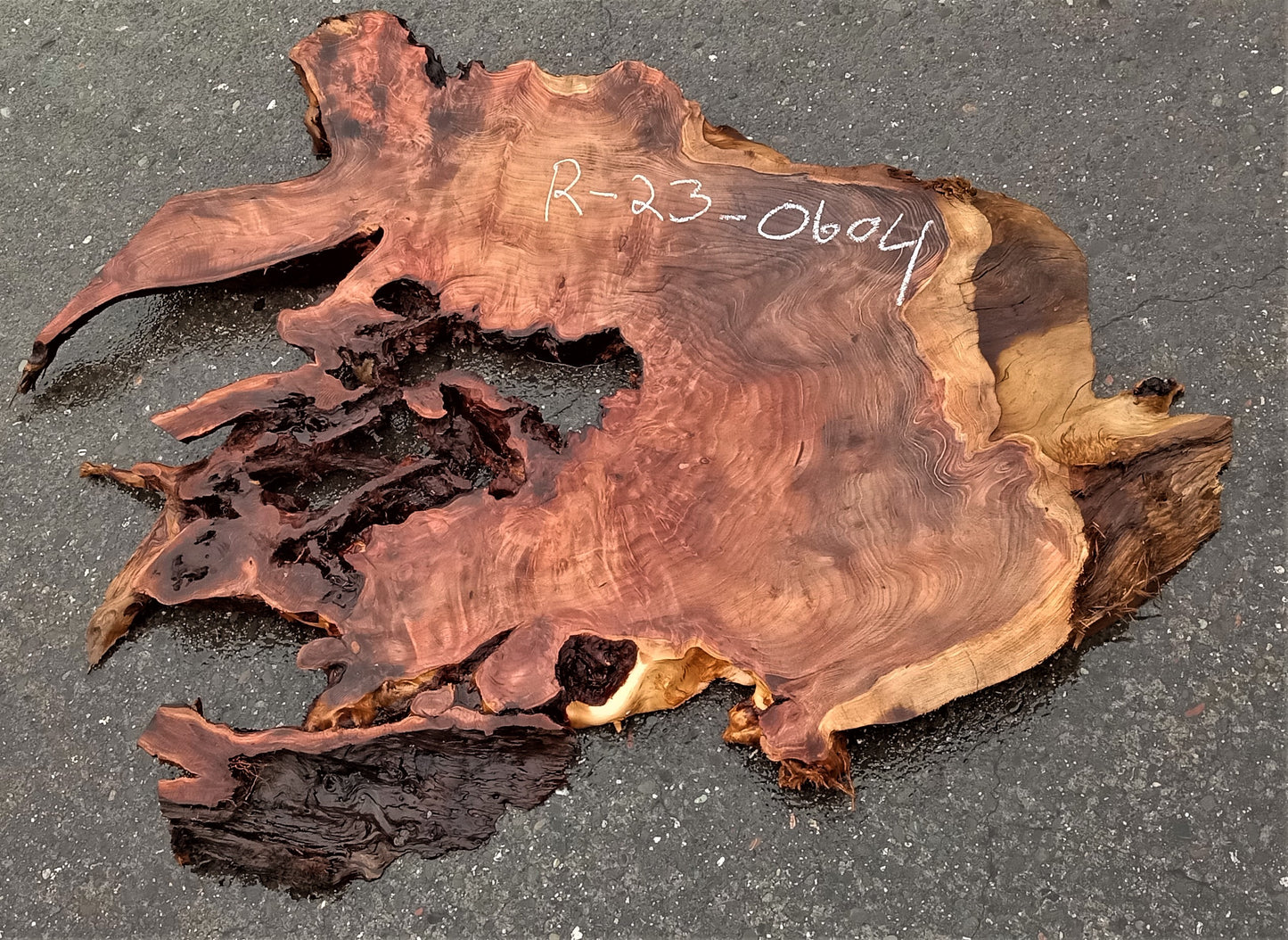 redwood slab | live edge | burl table | epoxy river table | r23-0604