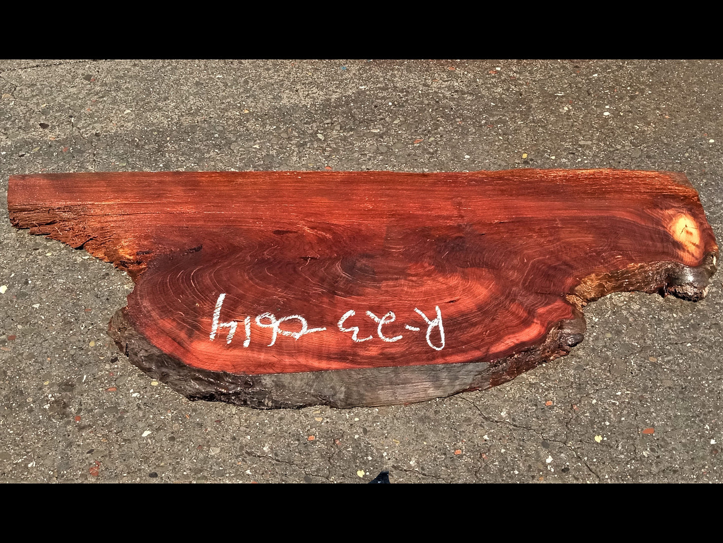 Redwood curly slab | live edge | river table | burl table | DIY | r23-0614