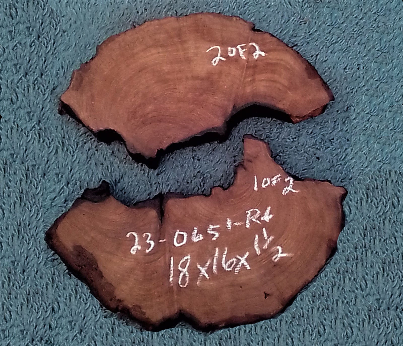 craft woods live edge cookie cut DIY pedestals r230651