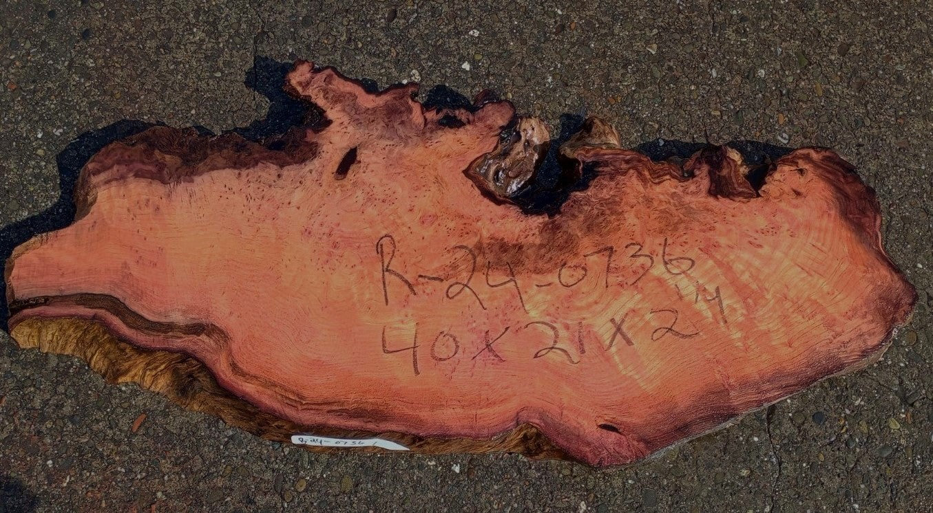 Redwood Burl Slab | DIY craft wood | Table | Redwood | R24-0736