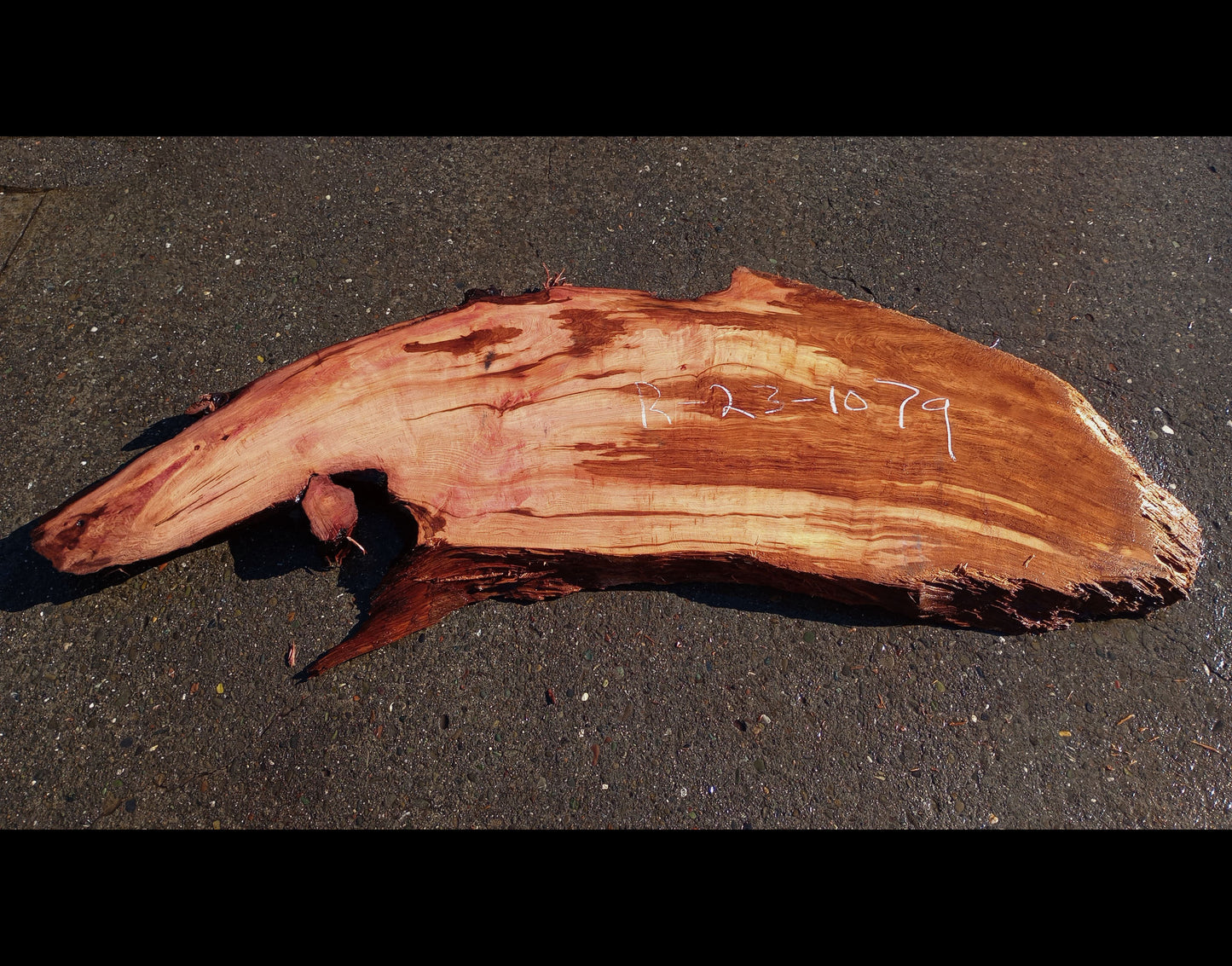 Live Edge Slab | burl | old growth redwood | epoxy river table | r23-1079