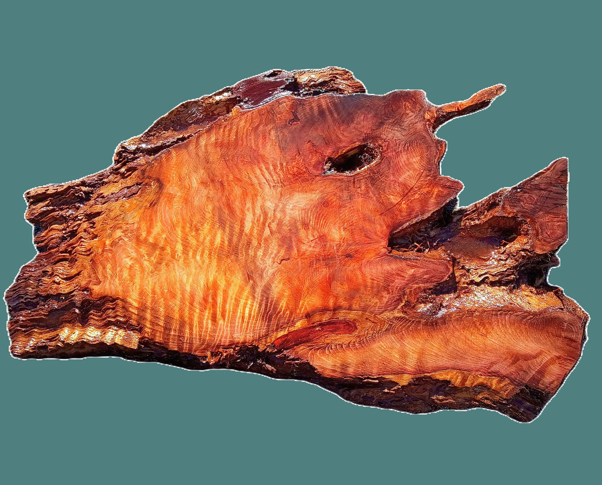 Curly Redwood Slab | river table | DIY | Live edge slab | desk top | R23-1111