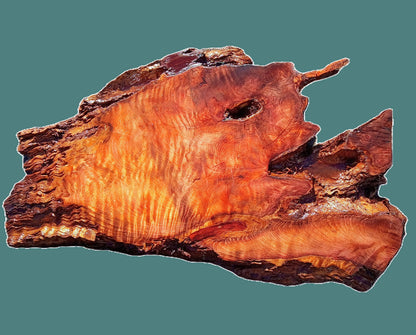 Curly Redwood Slab | river table | DIY | Live edge slab | desk top | R23-1111