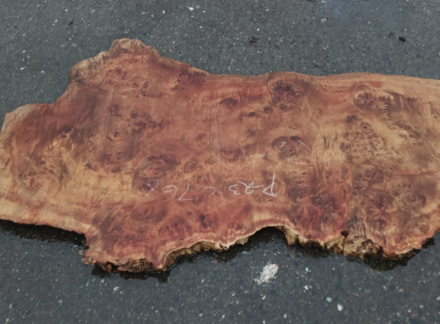 MappaBurl | Poplar | Burl Slab | River Table | P24-0768