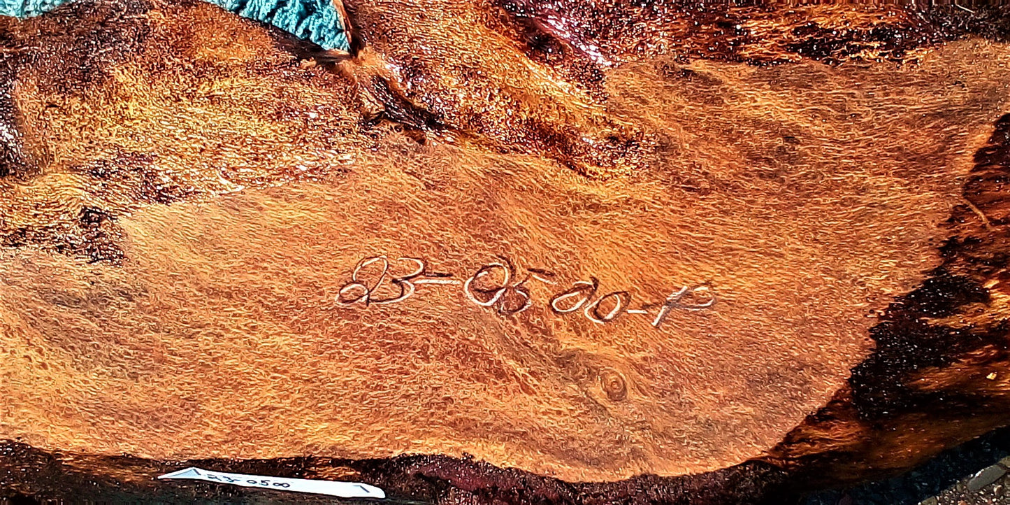 Redwood burl Slab | Live Edge | lace burl type grain | R23-0500