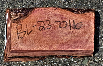 redwood burl  | DIY crafts | wood turning | bowl block blank | bl23-0110