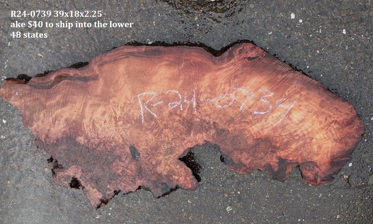 Redwood Burl Slab | DIY craft wood | Table | Redwood | R24-0739