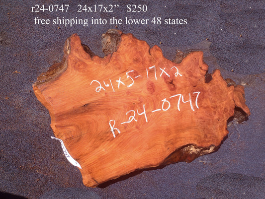 Redwood Burl Slab | DIY craft wood | Rustic Decor | Redwood | R24-0747