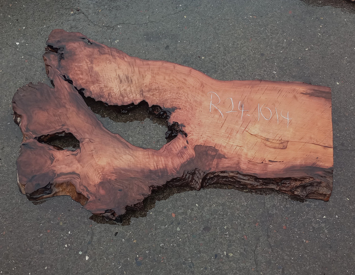 Redwood Burl | Headboard | River Table | Old Growth | R24-1014