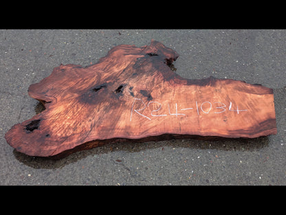 Redwood Burl | Headboard | River Table | Old Growth | R24-1034