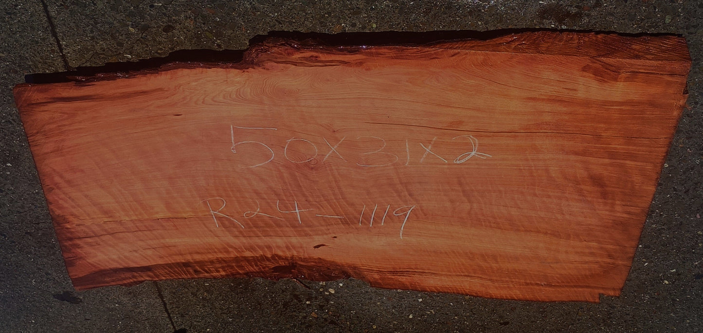 Curly Redwood | DIY Craft Wood | Wall Art | Redwood Slab | R24-1119