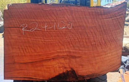 Curly Redwood | Table | Headboard | Old Growth | R24-1120