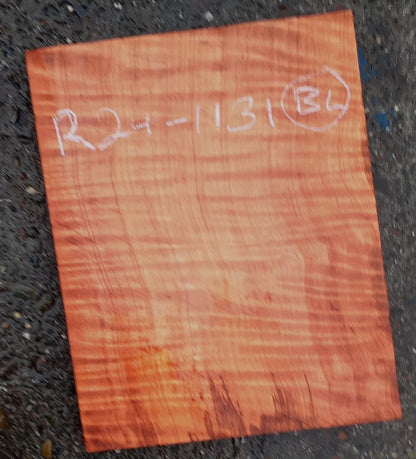 Redwood Slab | Craft wood | Block | DIY Curly | R24-1131