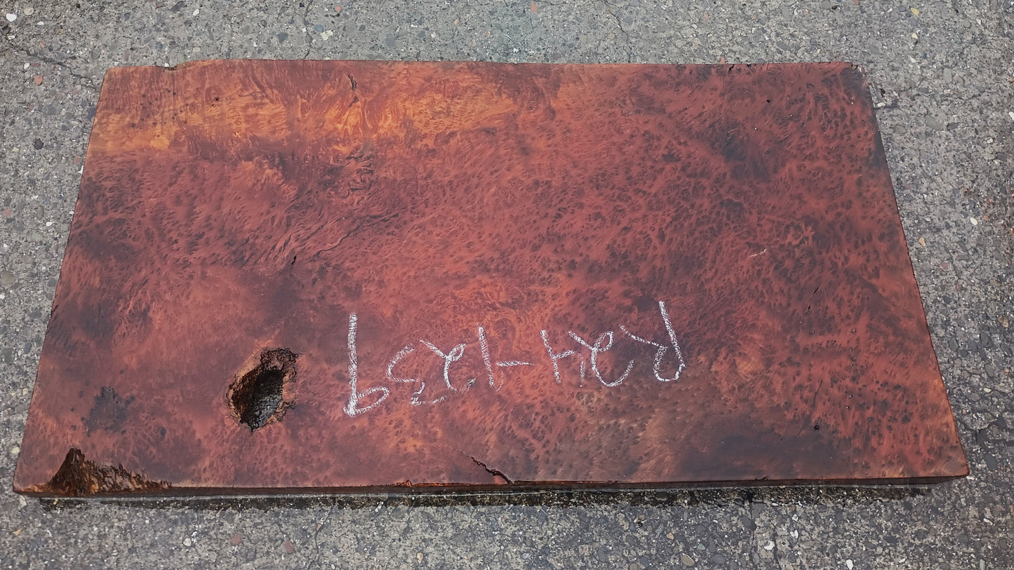 Redwood Burl | DIY | River Table | Craft Wood | R24-1239