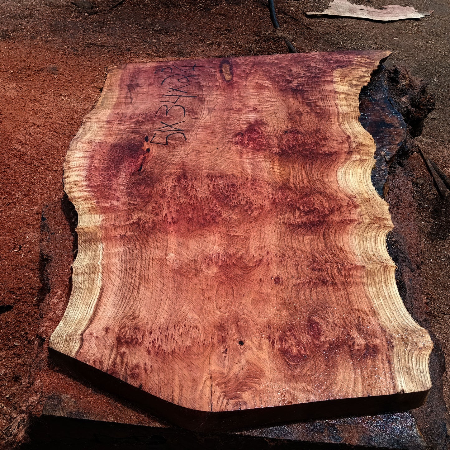 Redwood Lace Burl | Redwood | Burl | Desk | Table | R24-1287