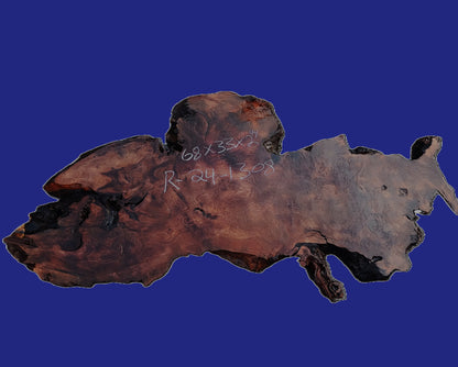 Redwood Burl Slab | DIY | Craft Wood | Table | Redwood | R24-1308