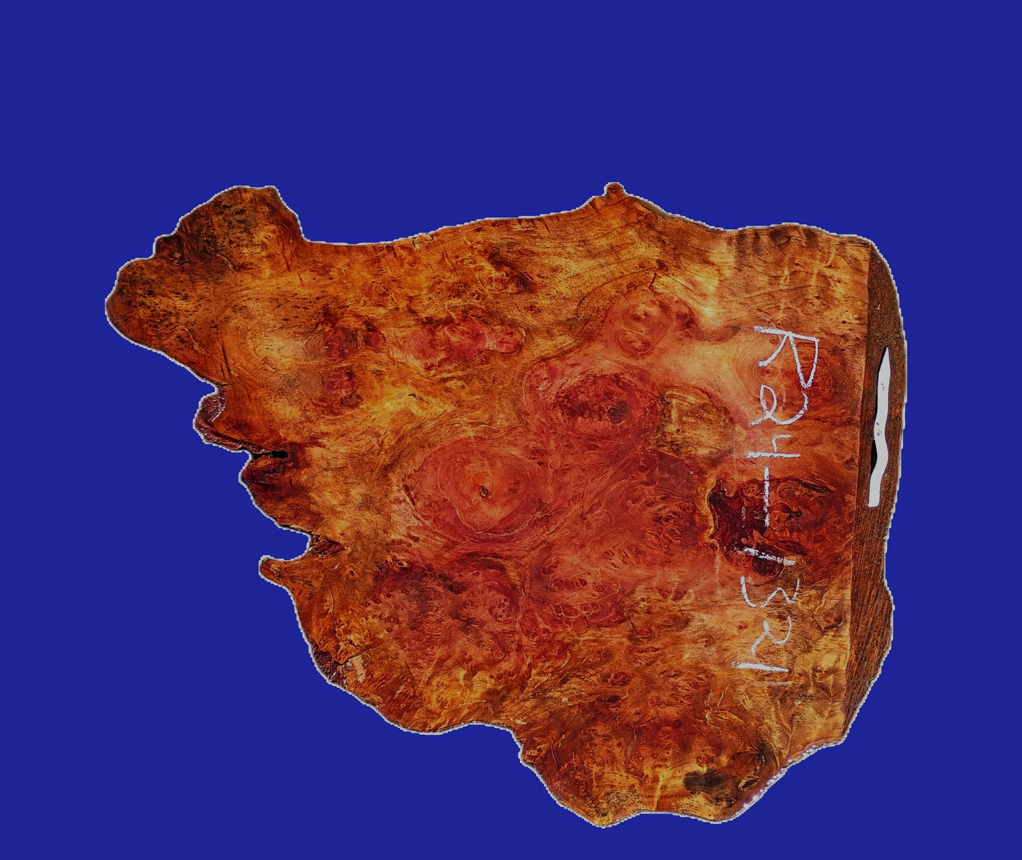 Redwood Burl Slab | DIY | Craft Wood | Table | Redwood | R24-1321