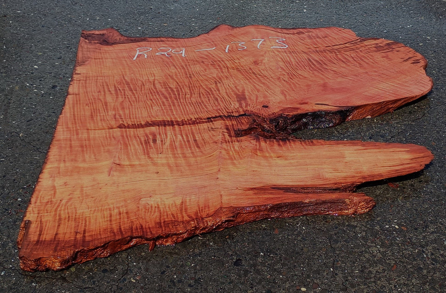 Curly Redwood | DIY Craft Wood | Desk | Redwood Slab | R24-1373