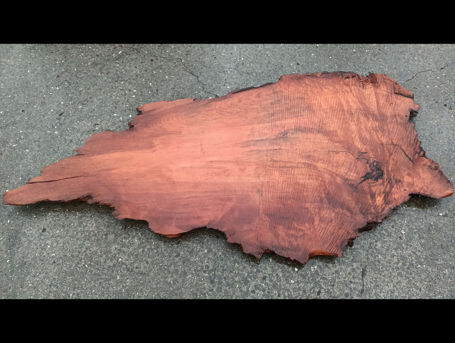 Redwood Burl | Headboard | Table | R24-1449