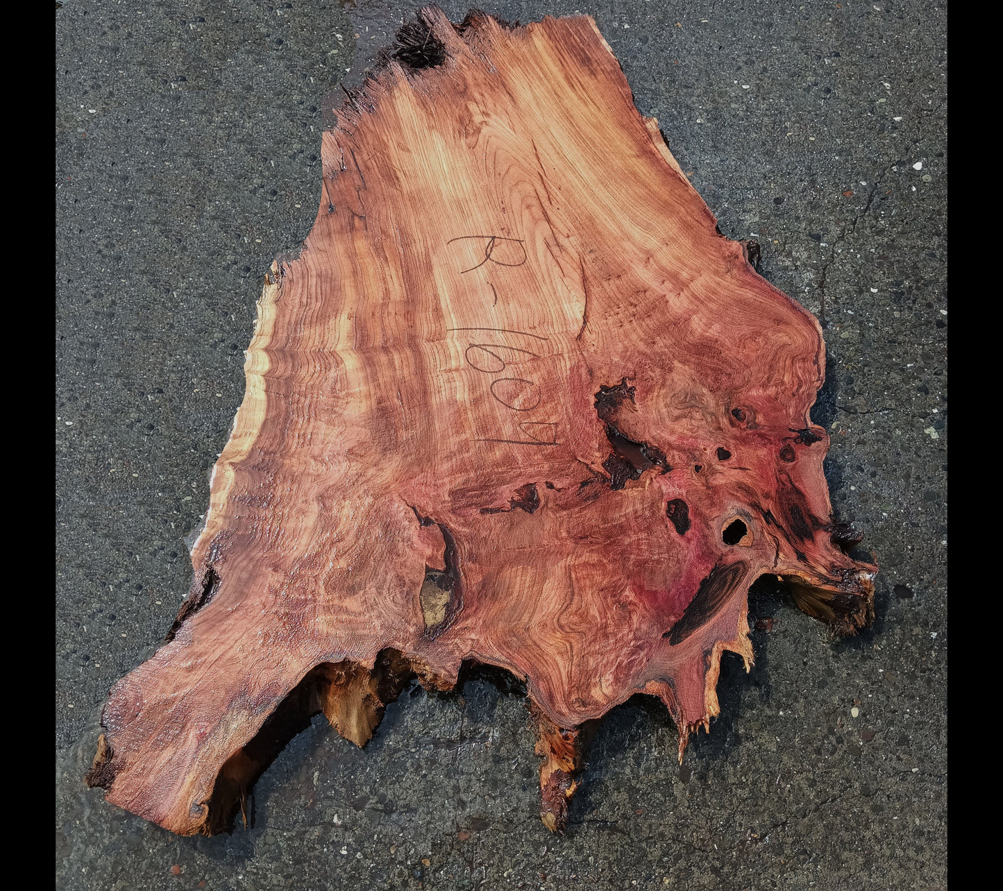 Redwood Slab| DIY Craft Wood | Epoxy Idea | R24-1609