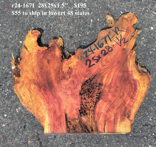Redwood slab | Redwood Burl | End Table | DIY | R24-1671