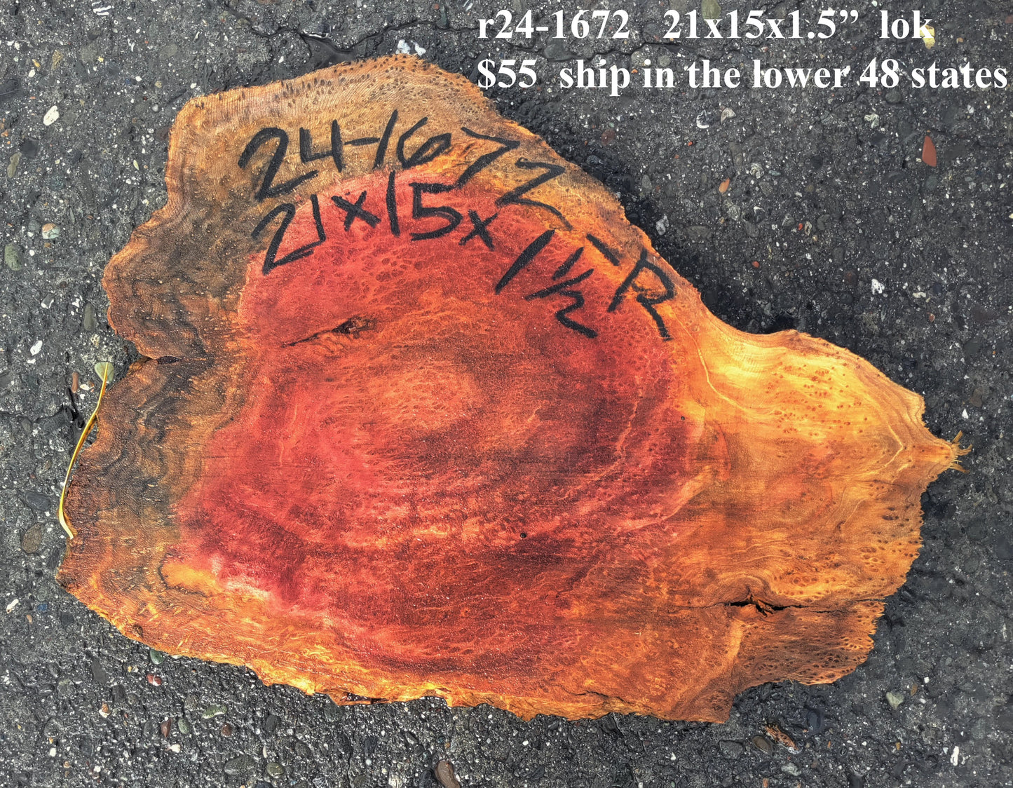 Redwood slab | Redwood Burl | Craft Wood | DIY | R24-1672