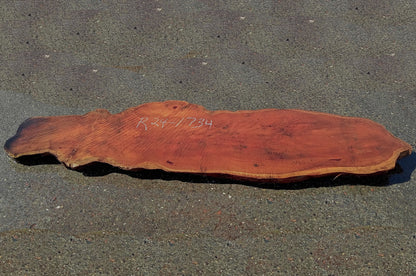 Redwood Bunion Slab | Table Slab | Epoxy Idea | R24-1734