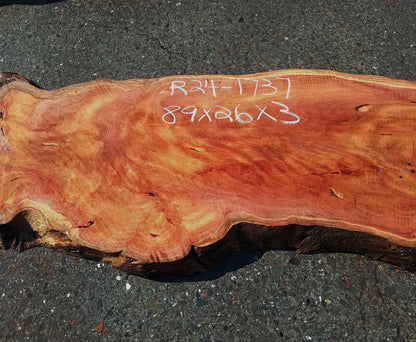 Redwood Bunion Slab | Table Slab | Epoxy Idea | R24-1737