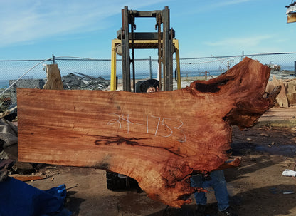 Redwood Slab | Desk | Bar | Table Slab | R24-1753