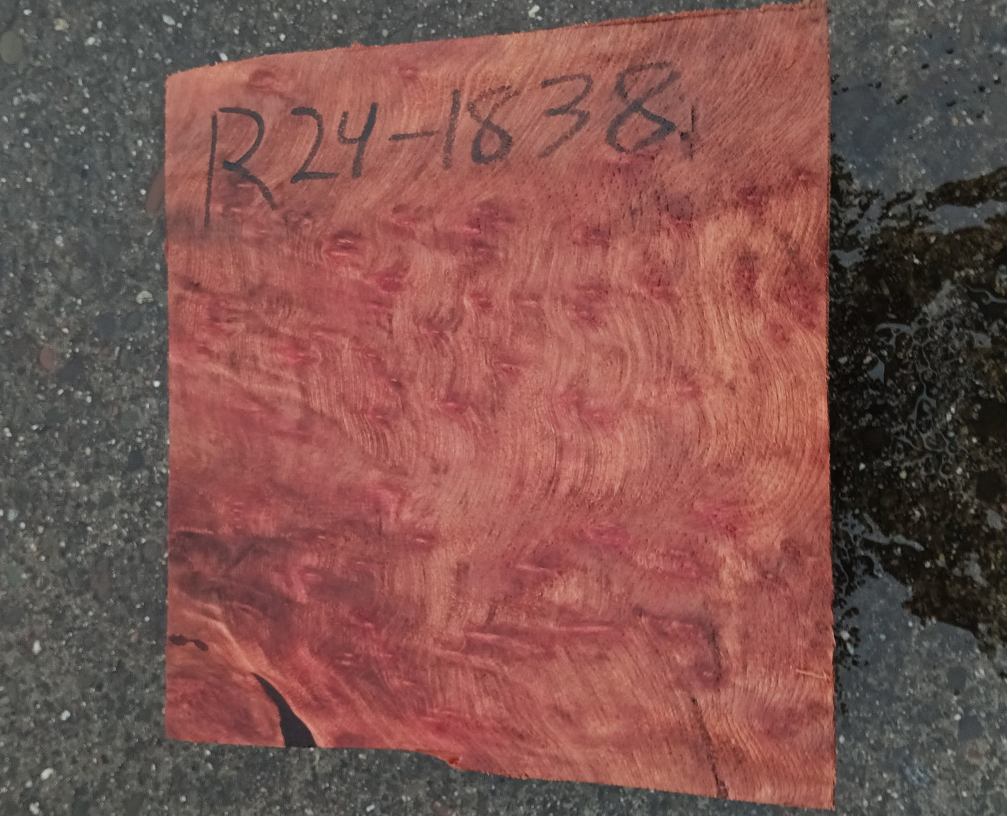 Redwood Burl | Turning block | Craft Wood | R24-1838