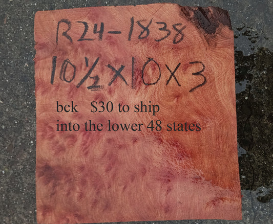 Redwood Burl | Turning block | Craft Wood | R24-1838