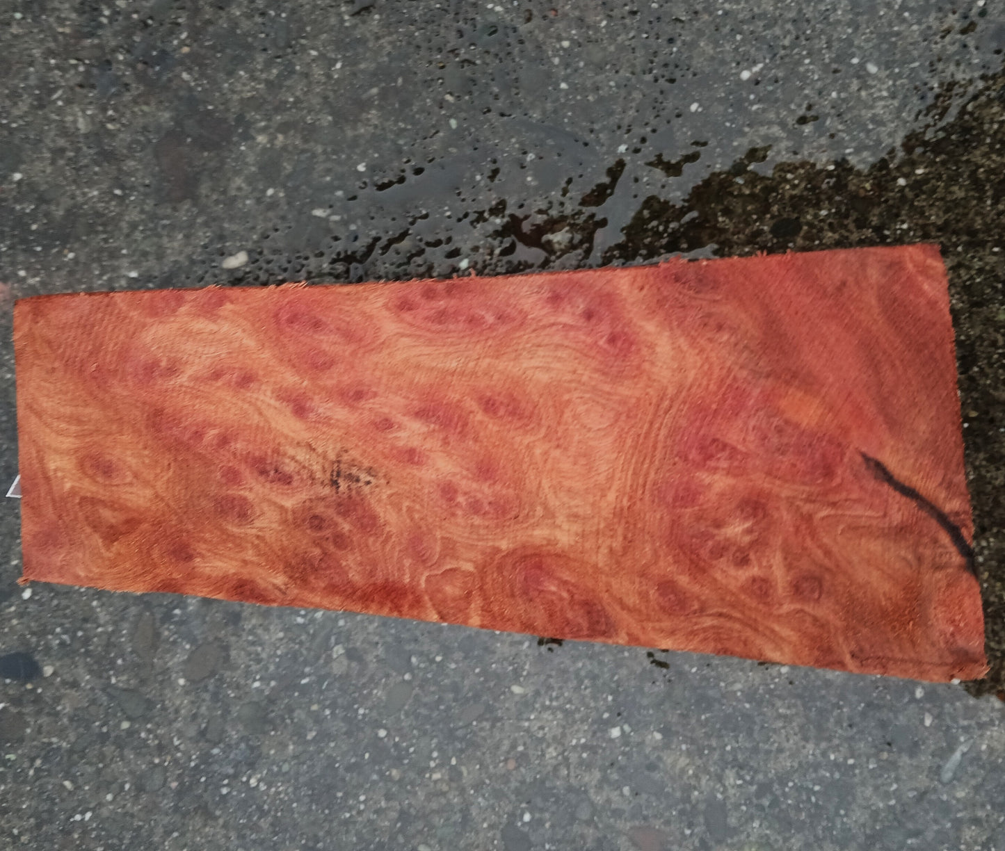 Curly Redwood | Turning block | Craft Wood | R24-1839