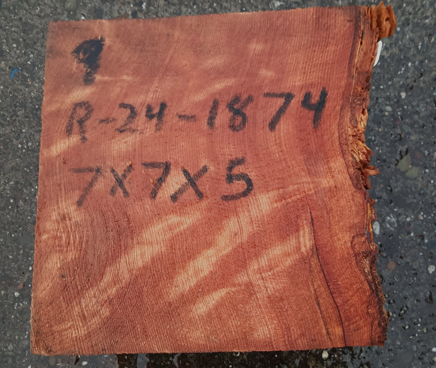 Curly Redwood | Turning Block | Craft Wood | R24-1874