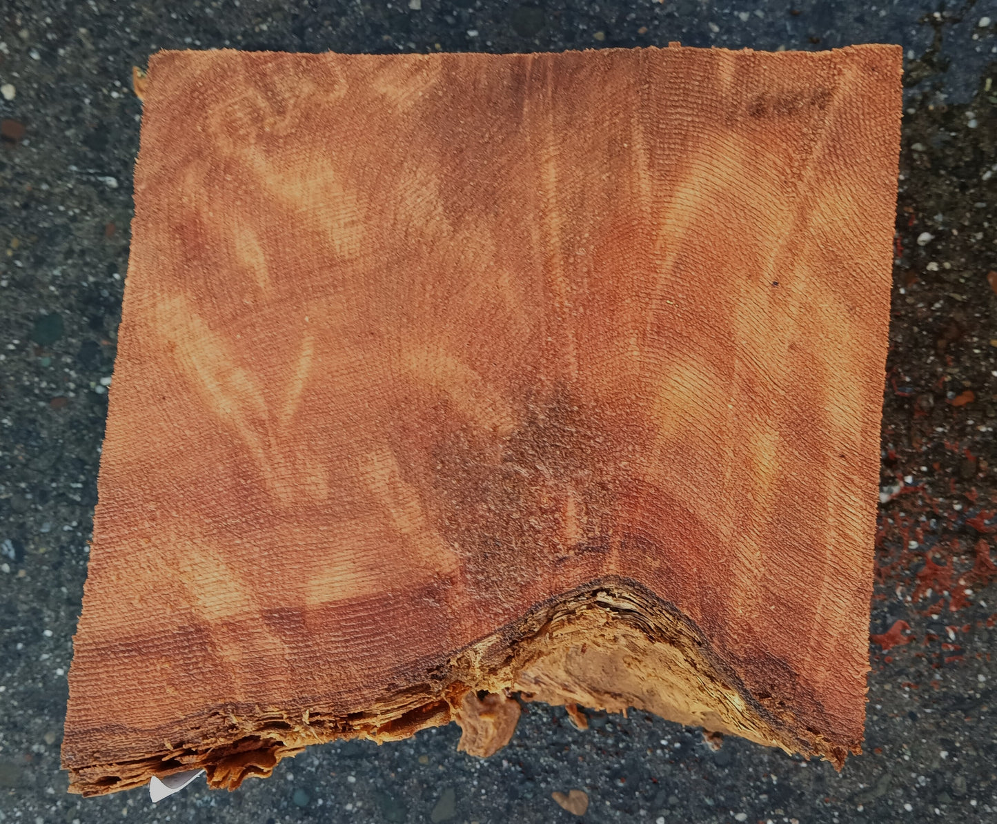 Curly Redwood | Turning Block | Craft Wood | R24-1874