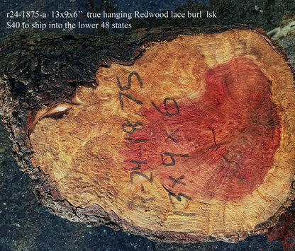 Redwood Lace Burl Cap | Turning block | Craft Wood | R24-1875