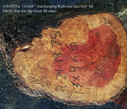 Redwood Lace Burl Cap | Turning block | Craft Wood | R24-1875