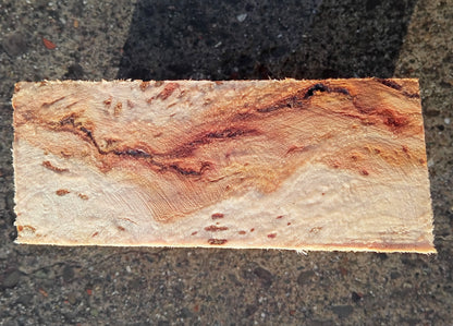 Redwood Burl | Turning block | Craft Wood | R24-1891