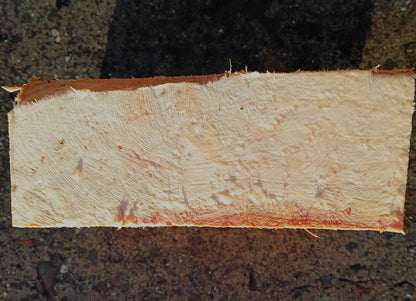 Redwood Burl | Turning block | Craft Wood | R24-1891