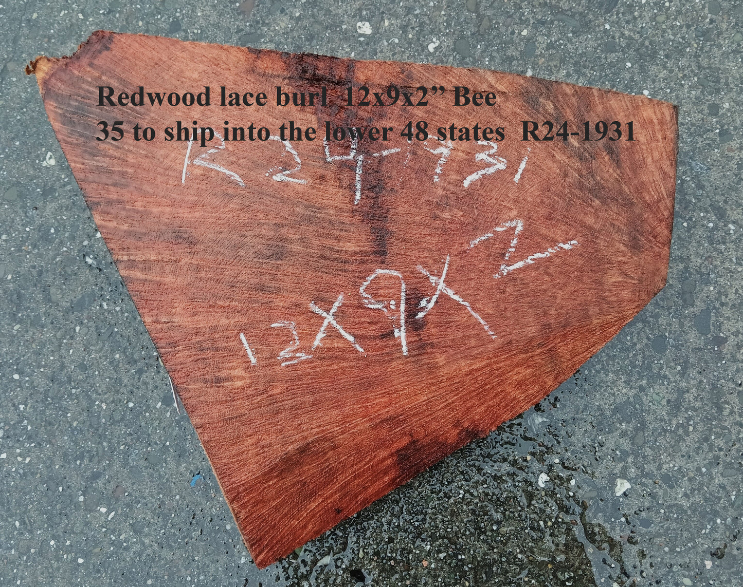 Redwood Burl | Turning Wood | Craft Wood | R24-1931