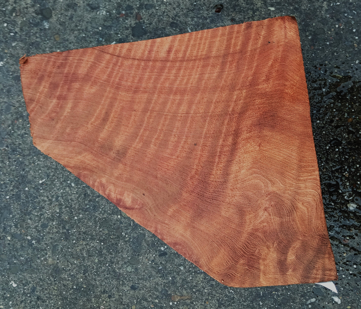 Curly Redwood | Turning block | Craft Wood | R24-1935