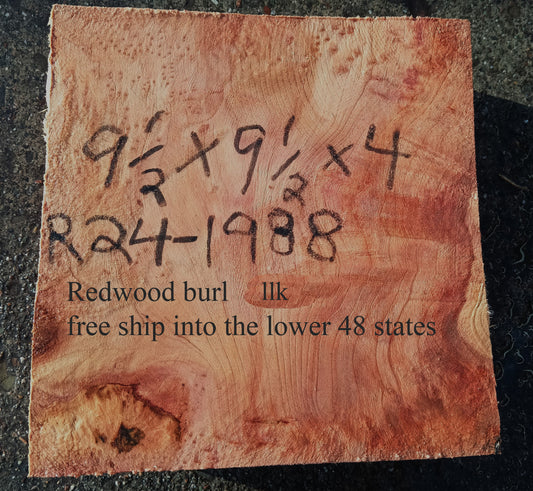 Redwood Burl | Turning block | Craft Wood | R24-1860