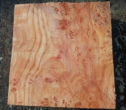 Redwood Burl | Turning block | Craft Wood | R24-1860