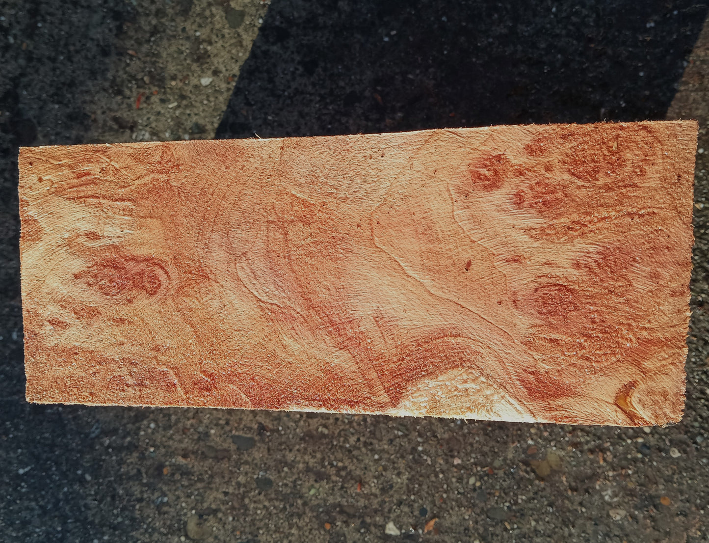 Redwood Burl | Turning block | Craft Wood | R24-1860