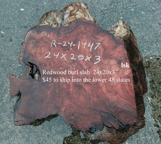 Redwood Burl Slab | Craft Wood | DIY | R24-1947