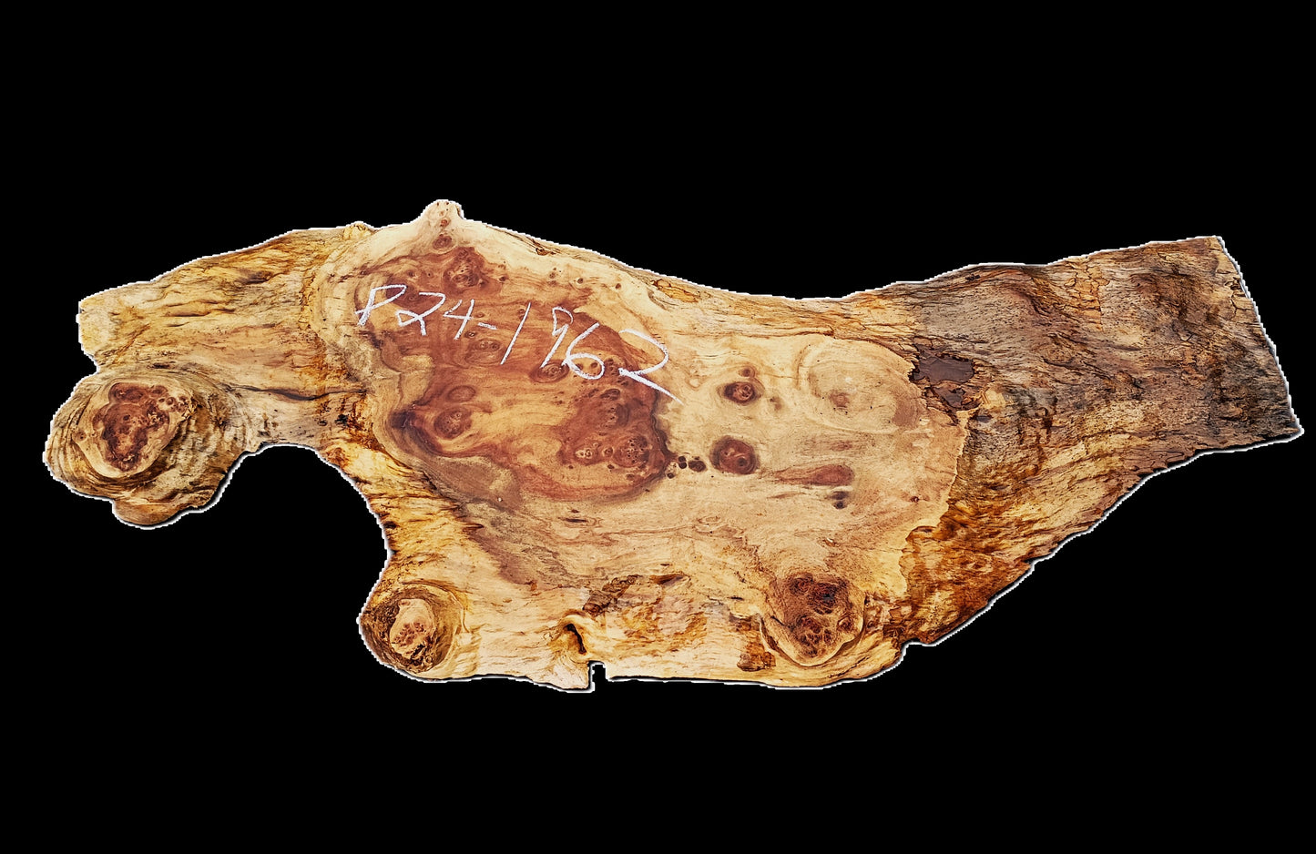 Maple Burl Slab | Live Edge | River Table | DIY |  P24-1962