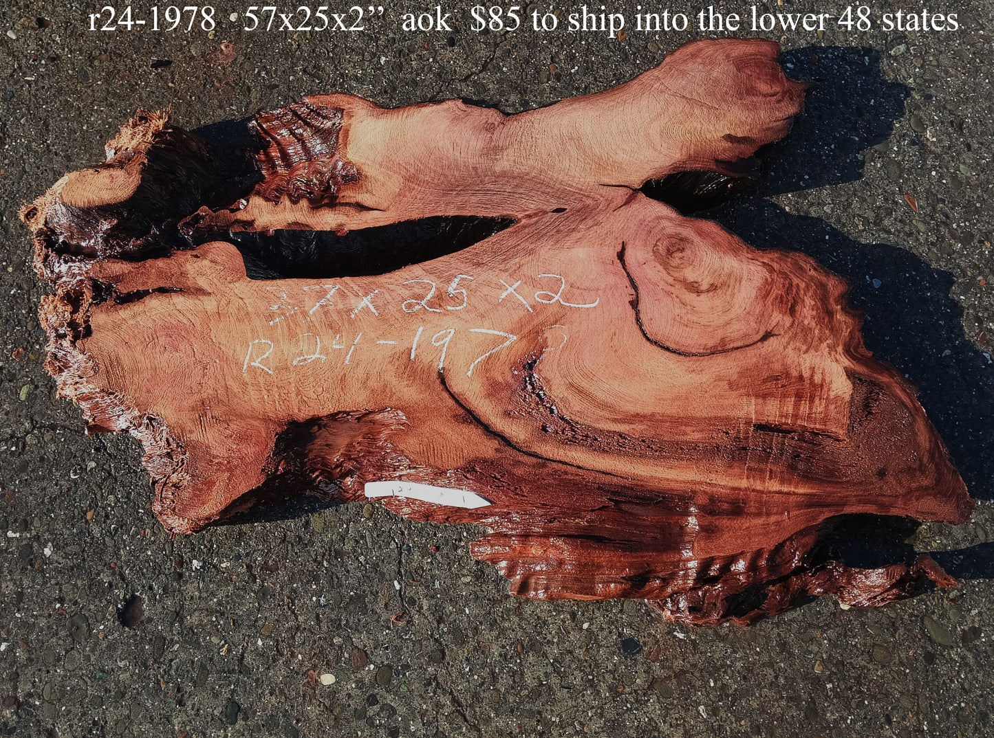 Redwood Slab | Epoxy Resin Idea | DIY Wall Art | R24-1978