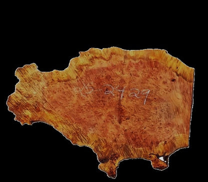 Redwood Lace Burl | DIY | Craft Wood| River Table | R25-2429